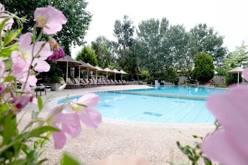 Petrino Eco Village Афитос Отель