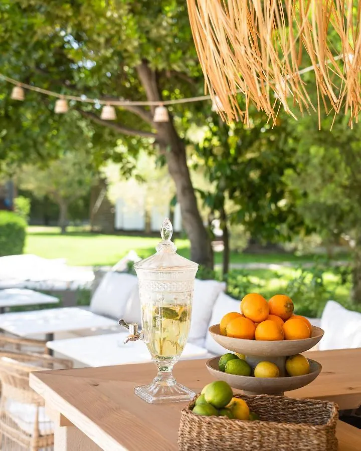 Petrino Eco Village Afytos